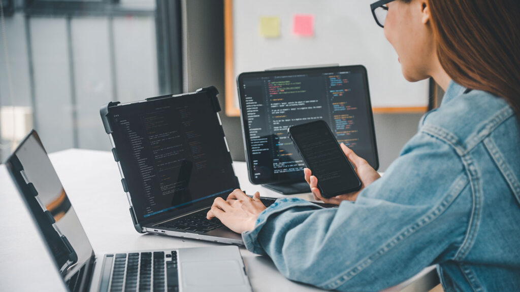 Berufsmöglichkeiten in der Wirtschaftsinformatik DHSH